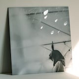 小沢健二「日比谷野音の小沢健二 オフィシャル海賊盤」ジャケット