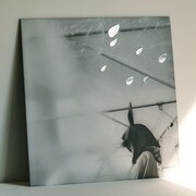 小沢健二「日比谷野音の小沢健二 オフィシャル海賊盤」ジャケット