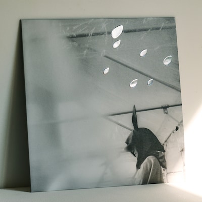 小沢健二「日比谷野音の小沢健二 オフィシャル海賊盤」ジャケット