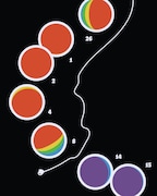 小沢健二の2年ぶりホールツアー決定、中島みゆきカバー含むEPリリースも