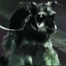 勢喜遊 & Yohji Igarashi「SUPERMARKET」配信ジャケット