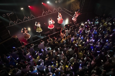KiSS KiSSのライブの様子（撮影：外林健太）