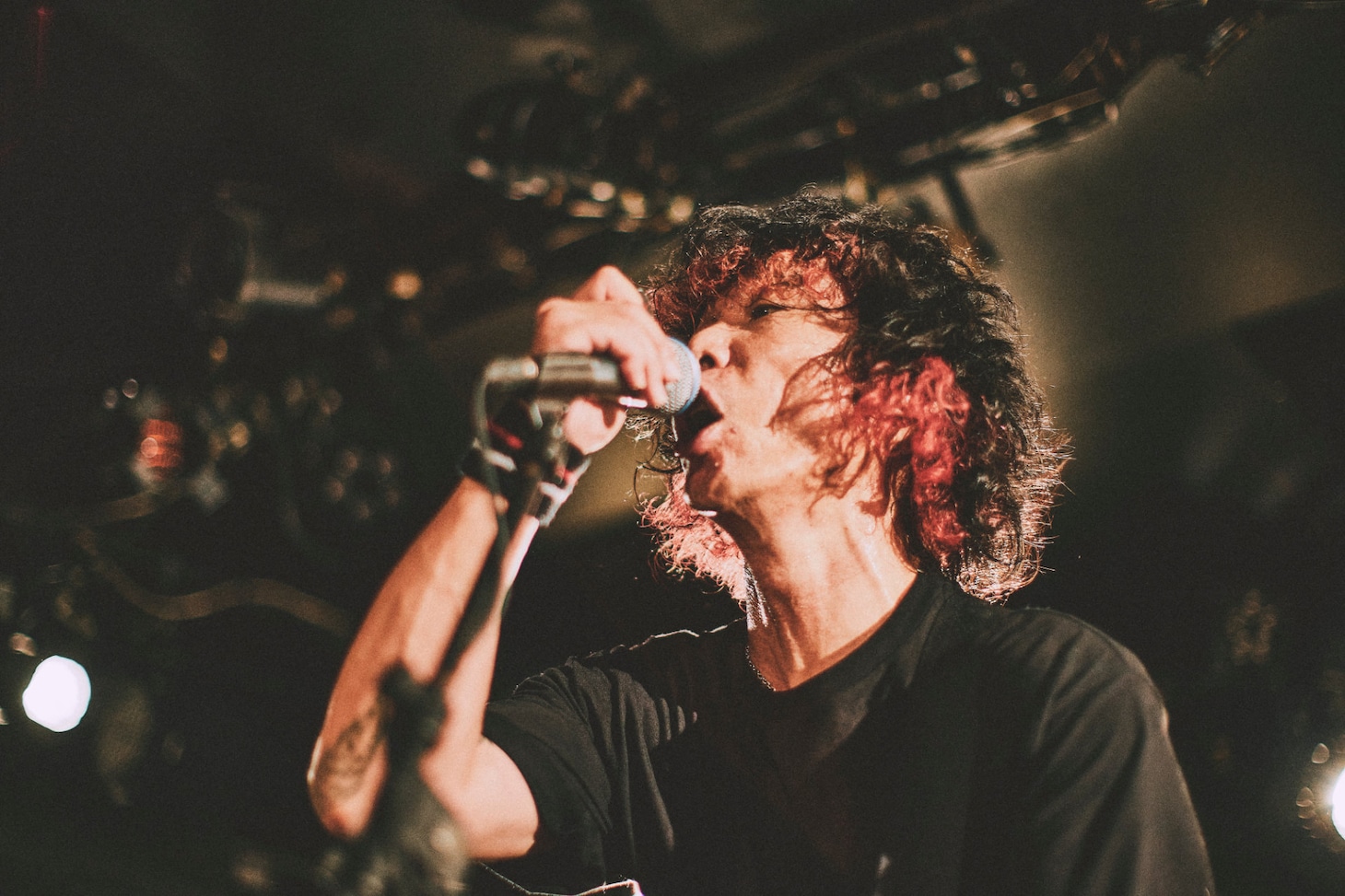 難波章浩（Vo, B / Hi-STANDARD）（撮影：西槇太一）