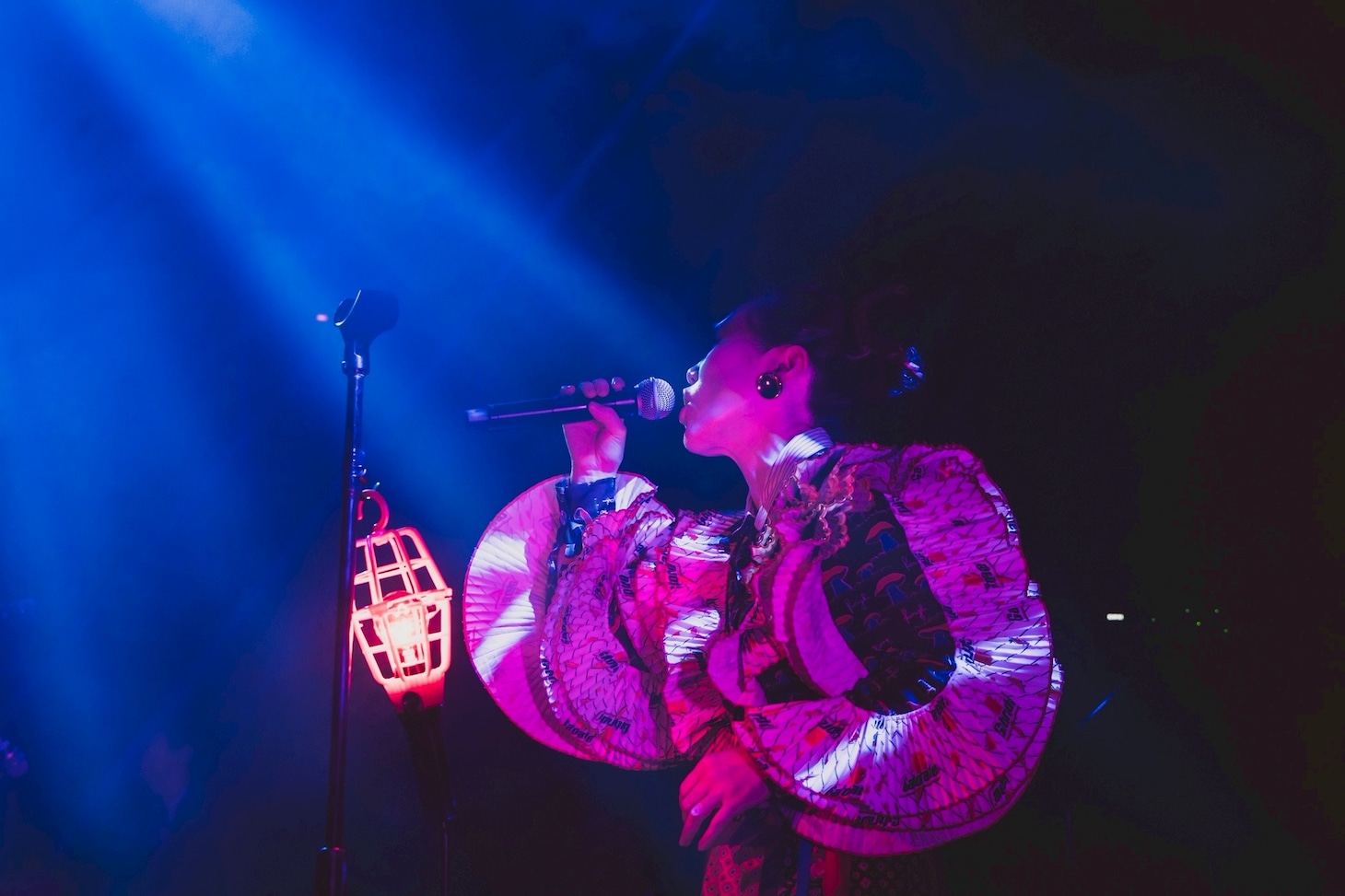 中納良恵（Vo）（撮影：仁礼博）