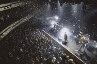 「EGO-WRAPPIN' live Midnight Dejavu」の様子。（撮影：仁礼博）