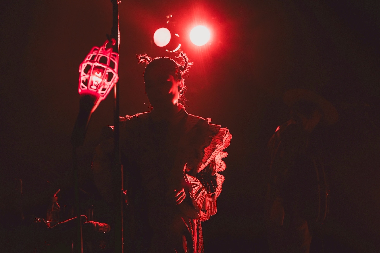 中納良恵（Vo）（撮影：仁礼博）