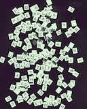 「P.Q.R. with Peterparker69」キービジュアル