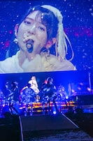 「超ときめき♡宣伝部のどきどきクリスマスパーティー 2025」の様子。