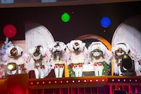 深くお辞儀をする超ときめき♡宣伝部。