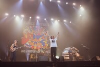 フラワーカンパニーズ