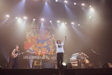 フラワーカンパニーズ