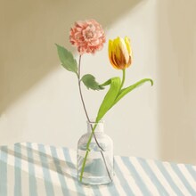 阿部真央「Ding-dong」ジャケット