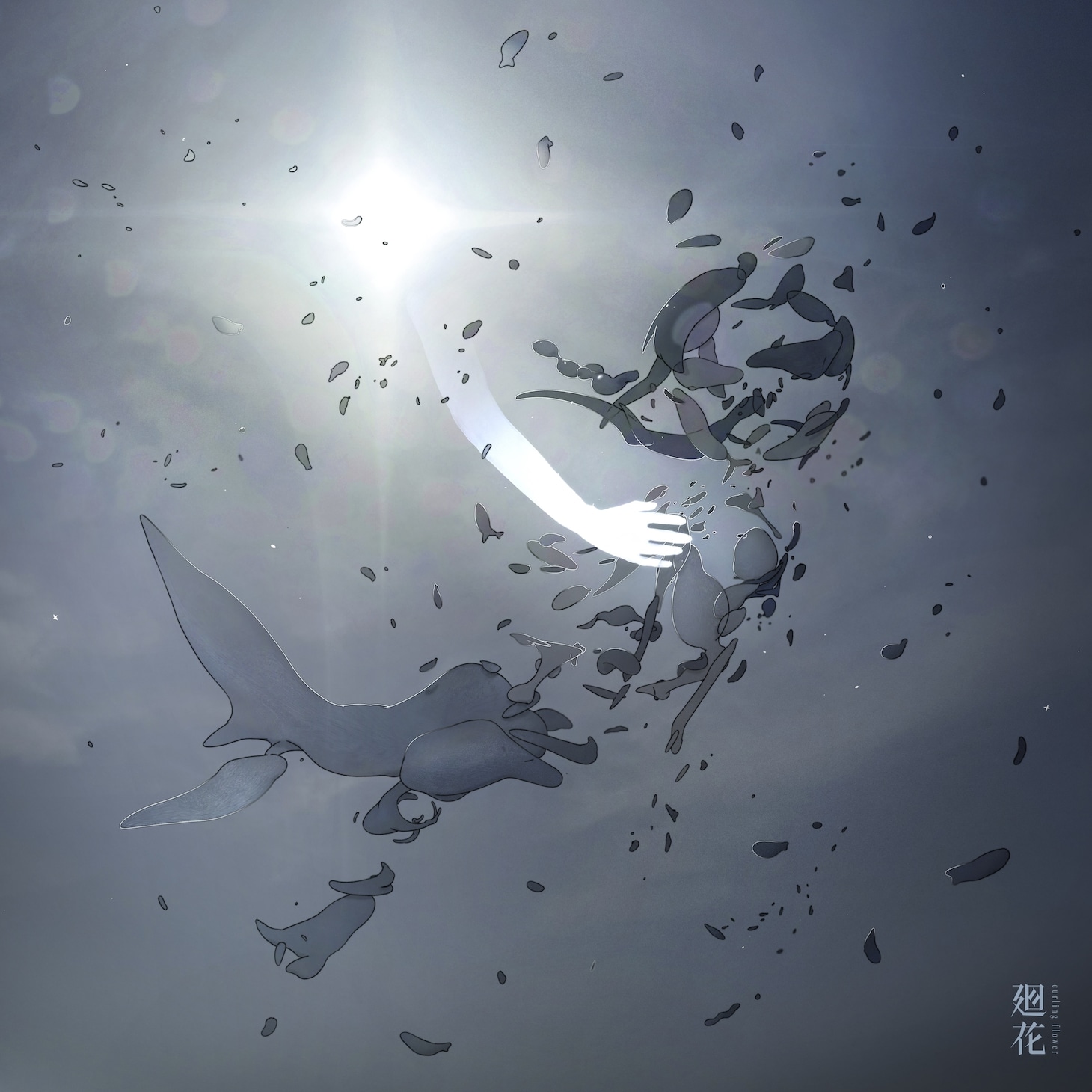 廻花「人魚」配信ジャケット