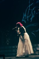 LiSA（撮影：平野タカシ）