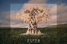 櫻坂46が咲き誇る桜の木に、「5th YEAR ANNIVERSARY LIVE」キービジュアル公開