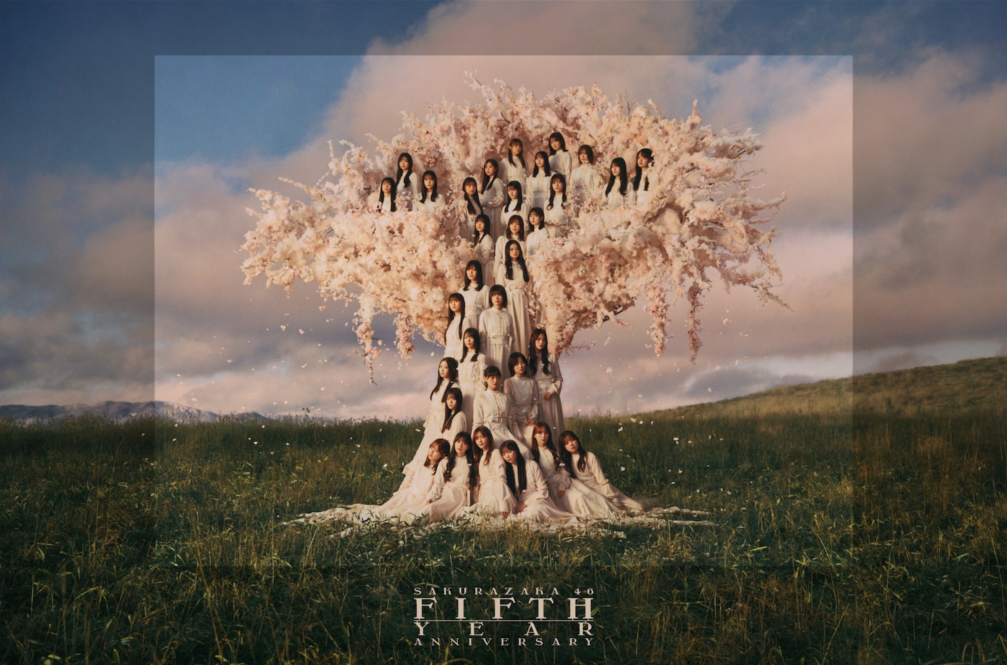 櫻坂46が咲き誇る桜の木に、「5th YEAR ANNIVERSARY LIVE」キービジュアル公開
