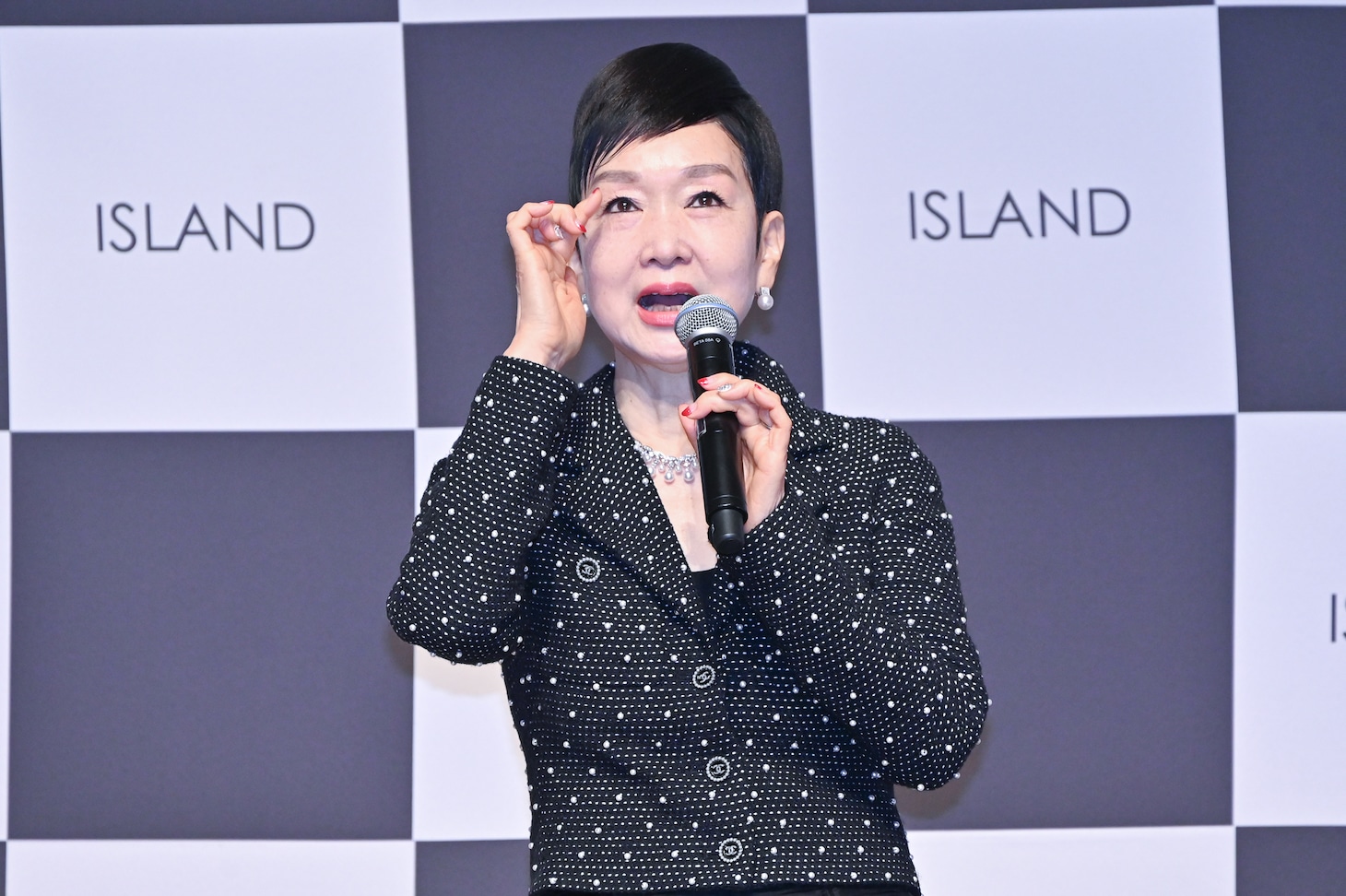 「ISLAND Natural Diamond Essence Stick」の魅力を熱弁する中島香里氏。