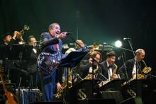 吾妻光良 & The Swinging Boppers（撮影：田辺龍一郎）