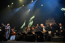 吾妻光良 & The Swinging Boppers（撮影：田辺龍一郎）