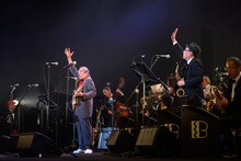 吾妻光良 & The Swinging Boppers（撮影：田辺龍一郎）