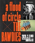 a flood of circleとTHE BAWDIES、“同期”の2組が西永福JAMでツーマン