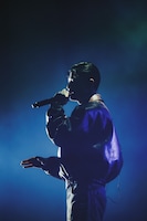 Watson（Photo by Daiki Miura）