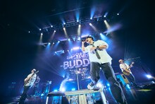 「SPYAIR TOUR 2025 - BUDDY -」公演の様子。