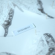 「TESTAMENT」配信ジャケット