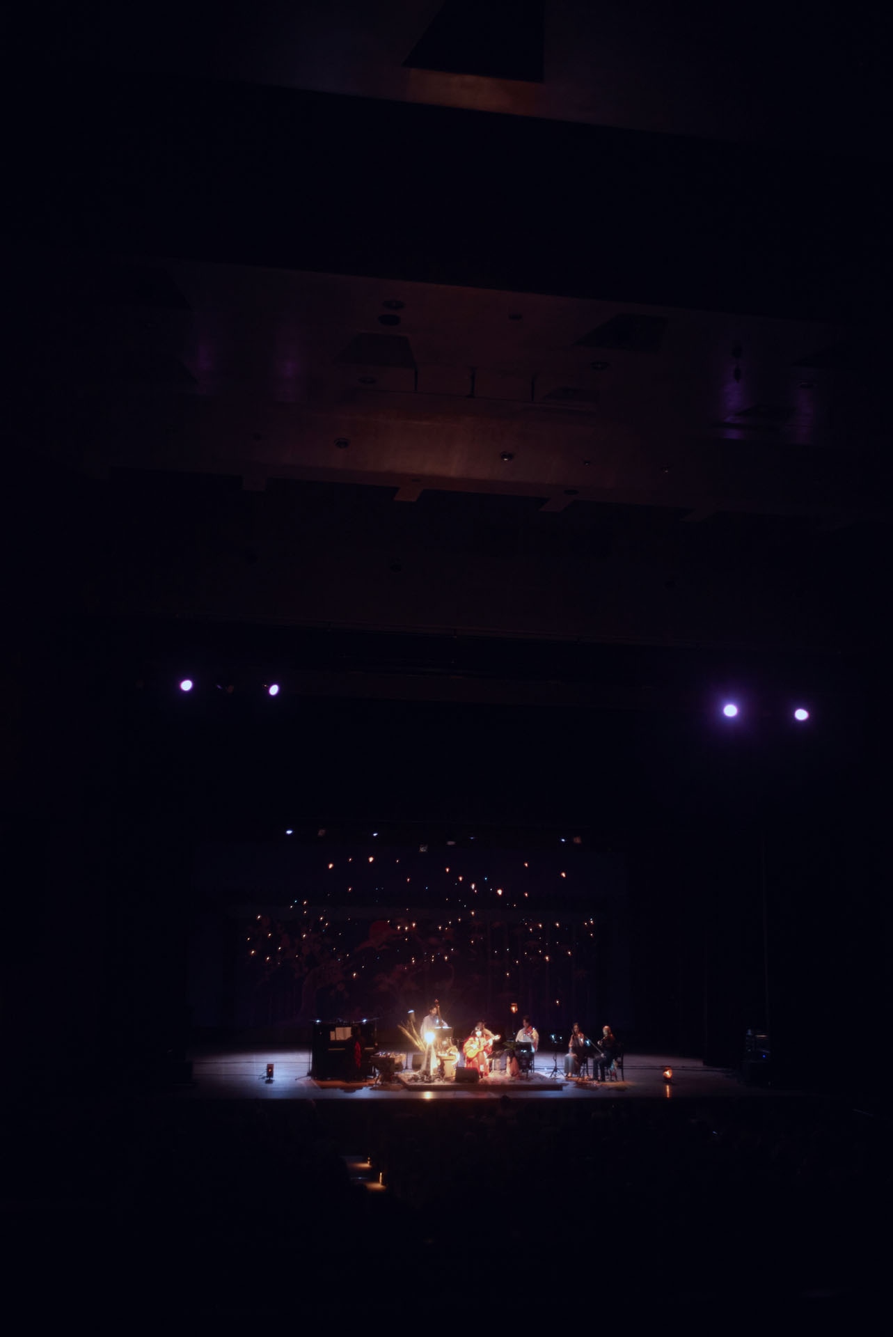 「Luminescent Creatures World Tour in ISHIGAKI」の様子。（撮影：八木咲）