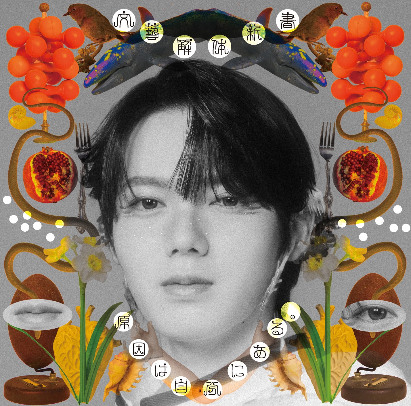 原因は自分にある。「文藝解体新書」ソロ盤ジャケット（小泉光咲）