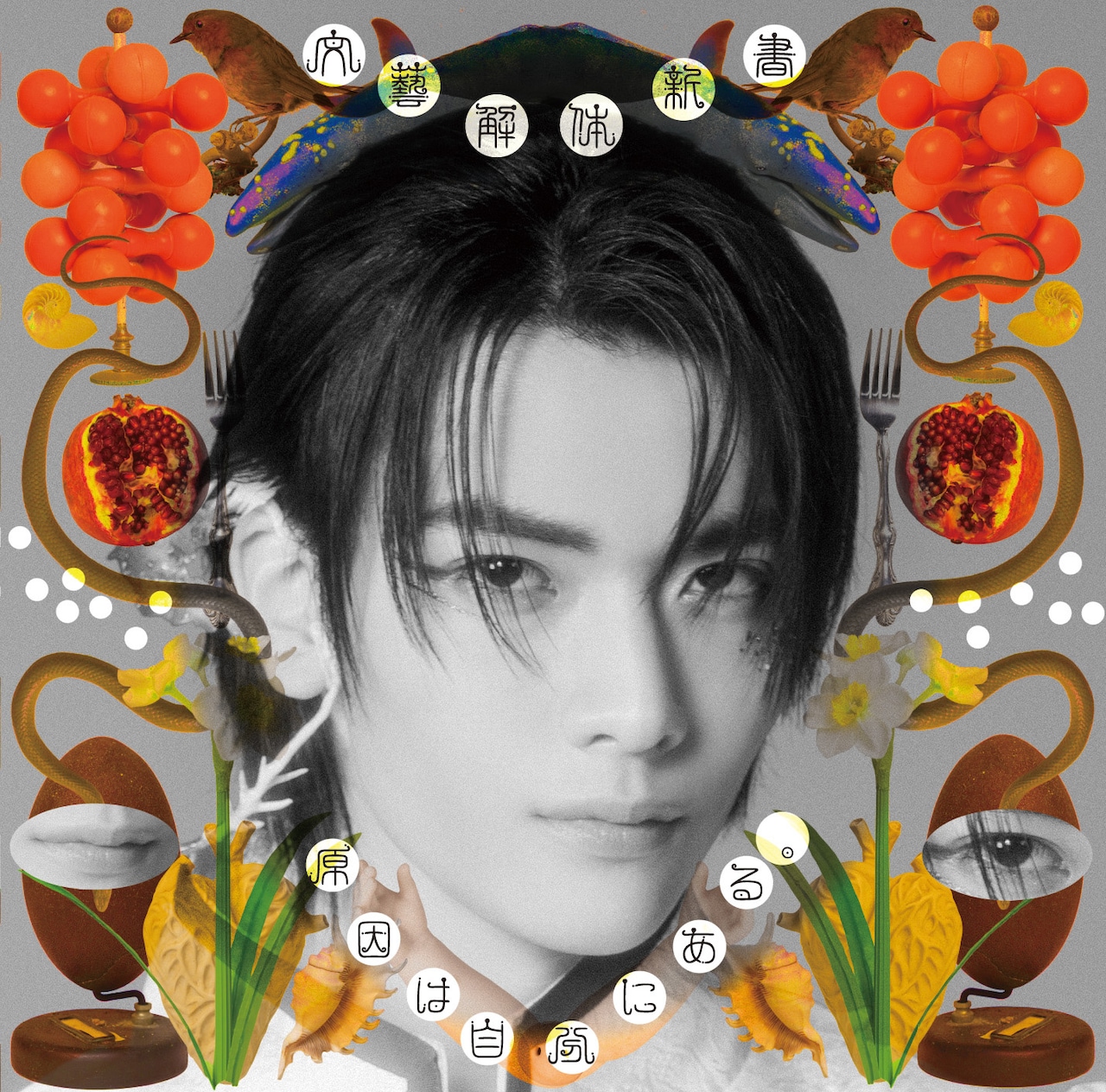 原因は自分にある。「文藝解体新書」ソロ盤ジャケット（武藤潤