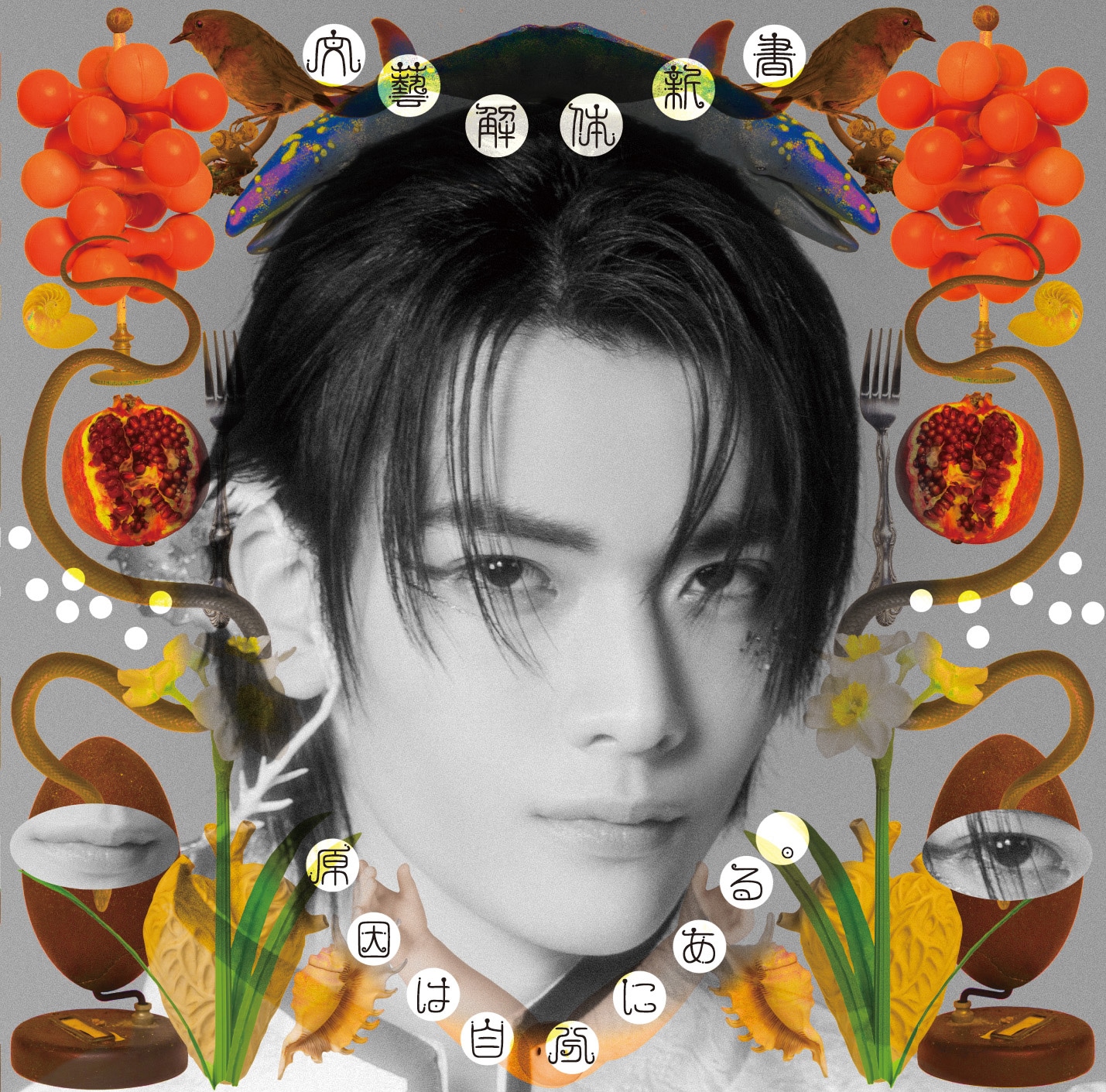 原因は自分にある。「文藝解体新書」ソロ盤ジャケット（武藤潤）