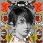 原因は自分にある。「文藝解体新書」ソロ盤ジャケット