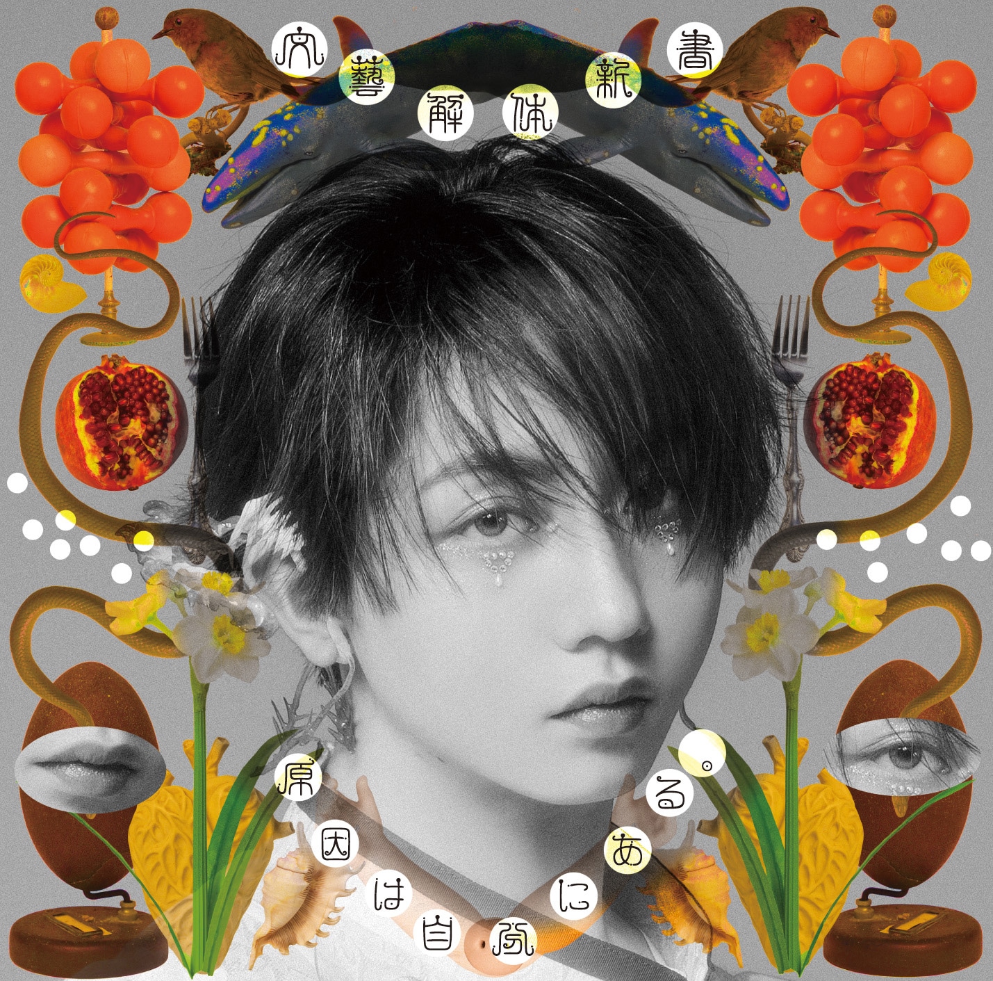 原因は自分にある。「文藝解体新書」ソロ盤ジャケット