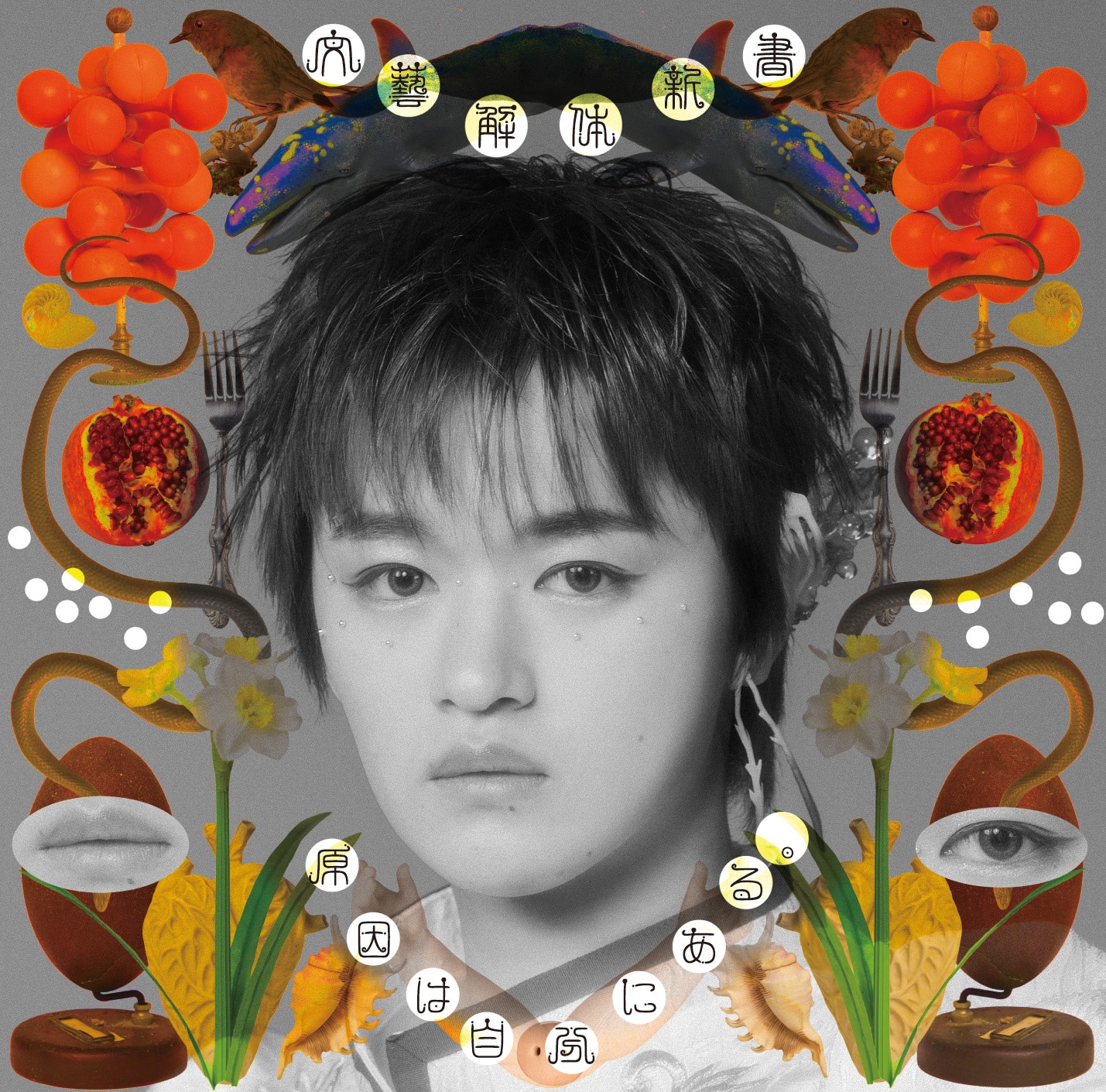 原因は自分にある。「文藝解体新書」ソロ盤ジャケット（大倉空人）