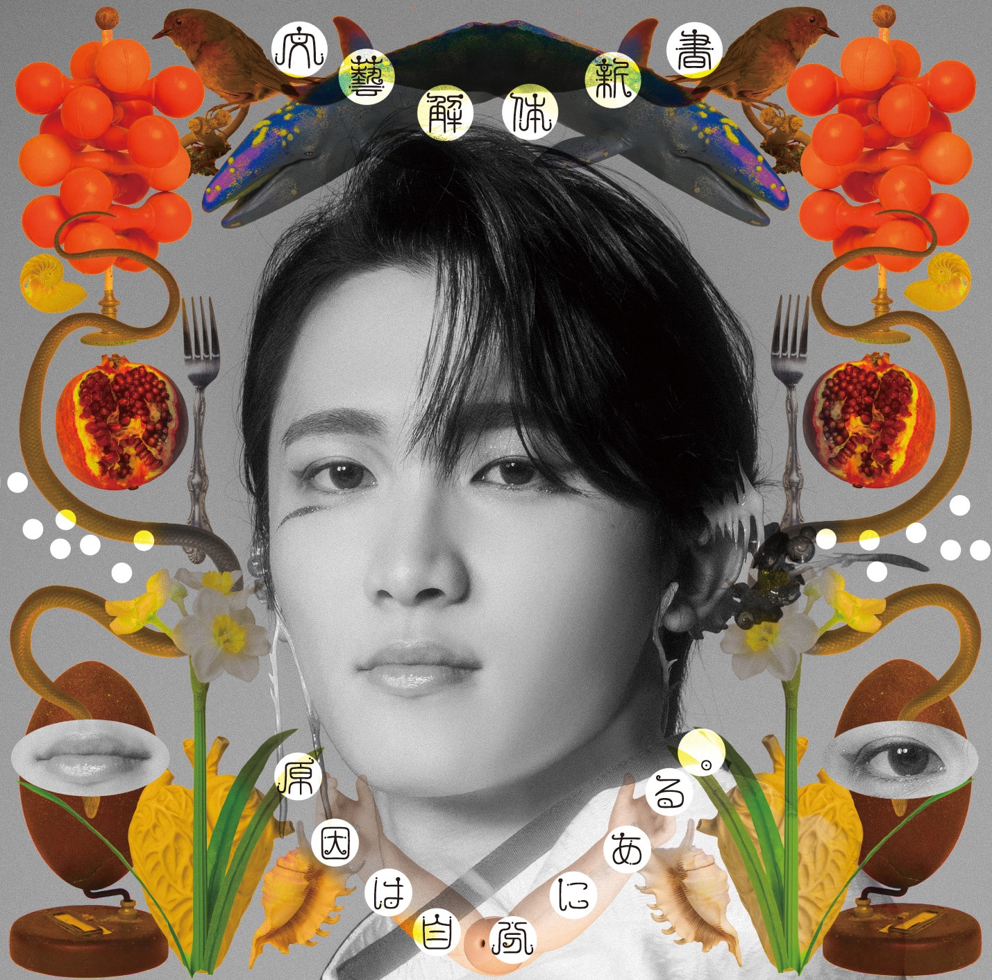 原因は自分にある。「文藝解体新書」ソロ盤ジャケット（桜木雅哉）