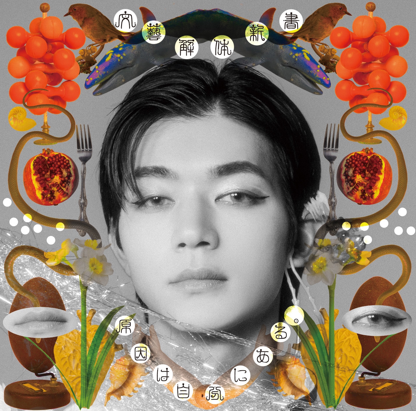 原因は自分にある。「文藝解体新書」ソロ盤ジャケット（吉澤要人）