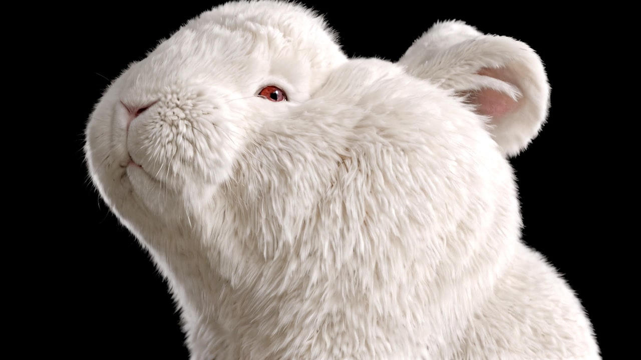 んoonの2ndアルバム「Zoo」リリース決定、次々に形を変える何かが登場するMV公開