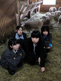 最年少14歳のガールズバンドNo.MEN、東名阪ツアー初開催　デビュー作から「Setelan」MV公開