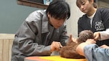 「嗚呼!!みんなの動物園」より、保護犬トリミングをする生田斗真。 ©日本テレビ