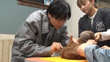 相葉雅紀が生田斗真と嵐結成前の思い出トーク、保護犬をトリミングしながら
