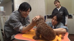 相葉雅紀が生田斗真と嵐結成前の思い出トーク、保護犬をトリミングしながら
