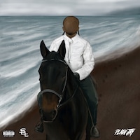 Plain Jay「MASAMUNE」配信ジャケット