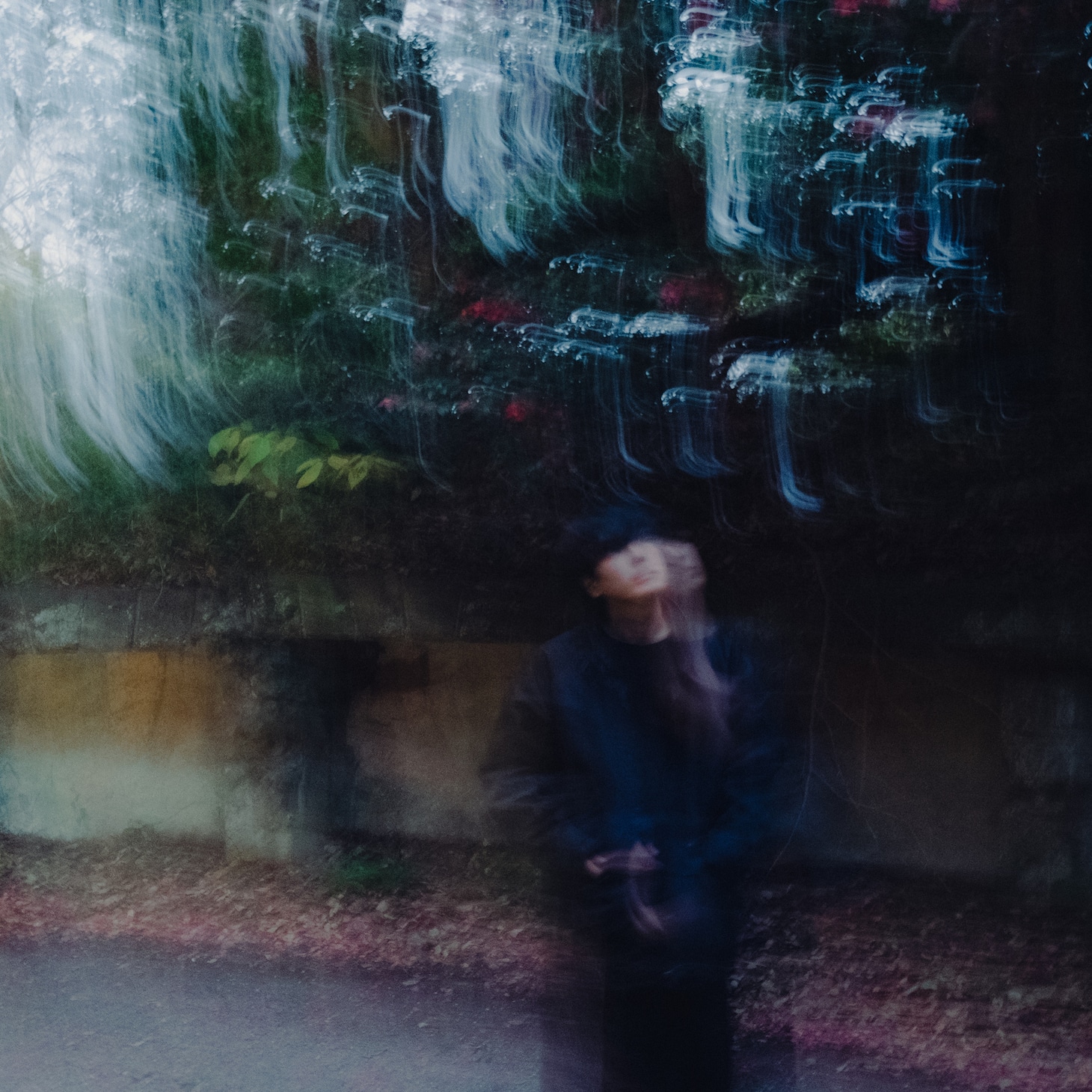 碧海祐人「情操の空き地」ジャケット