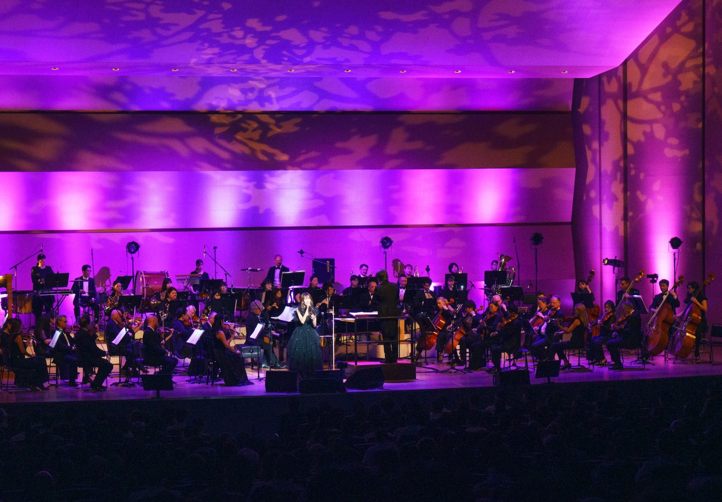 オーケストラと共演する工藤静香。