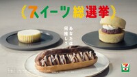 セブン‐イレブン・ジャパン テレビCM「スイーツ総選挙 総集篇」より。