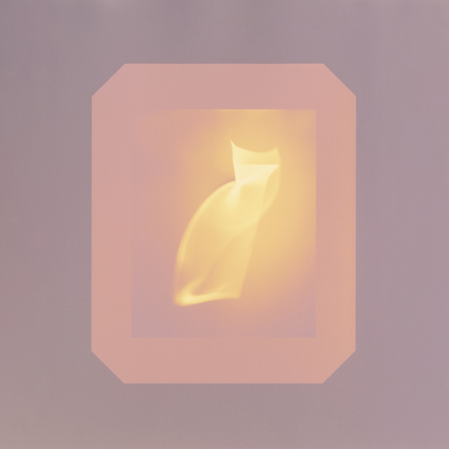 österreich「胎教」ジャケット