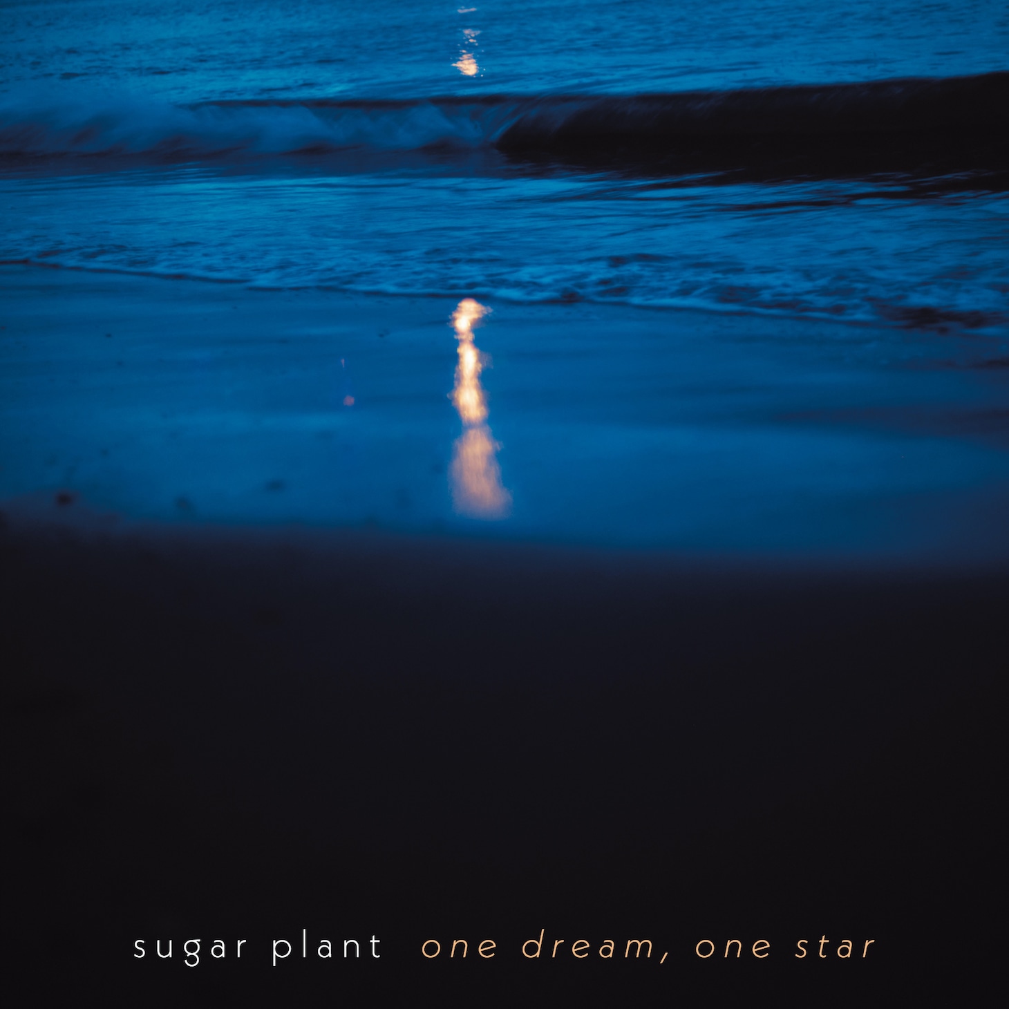 sugar plant「one dream, one star」ジャケット