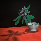 indigo la End「カグラ」配信ジャケット