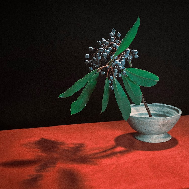 indigo la End「カグラ」配信ジャケット